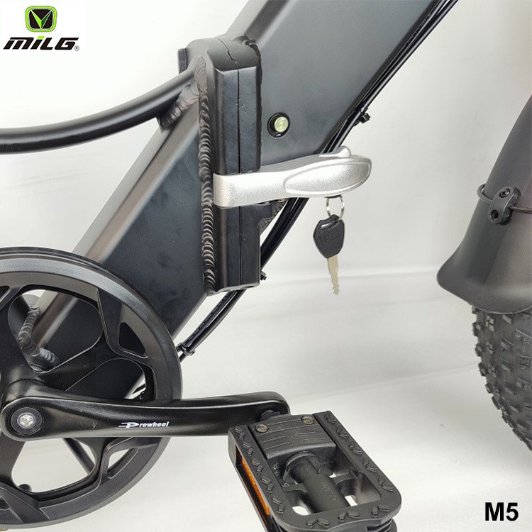 Popular 750w Folding Electric Bike best